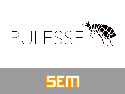 Diseño y gestión de campaña de eMarketing en Pulesse